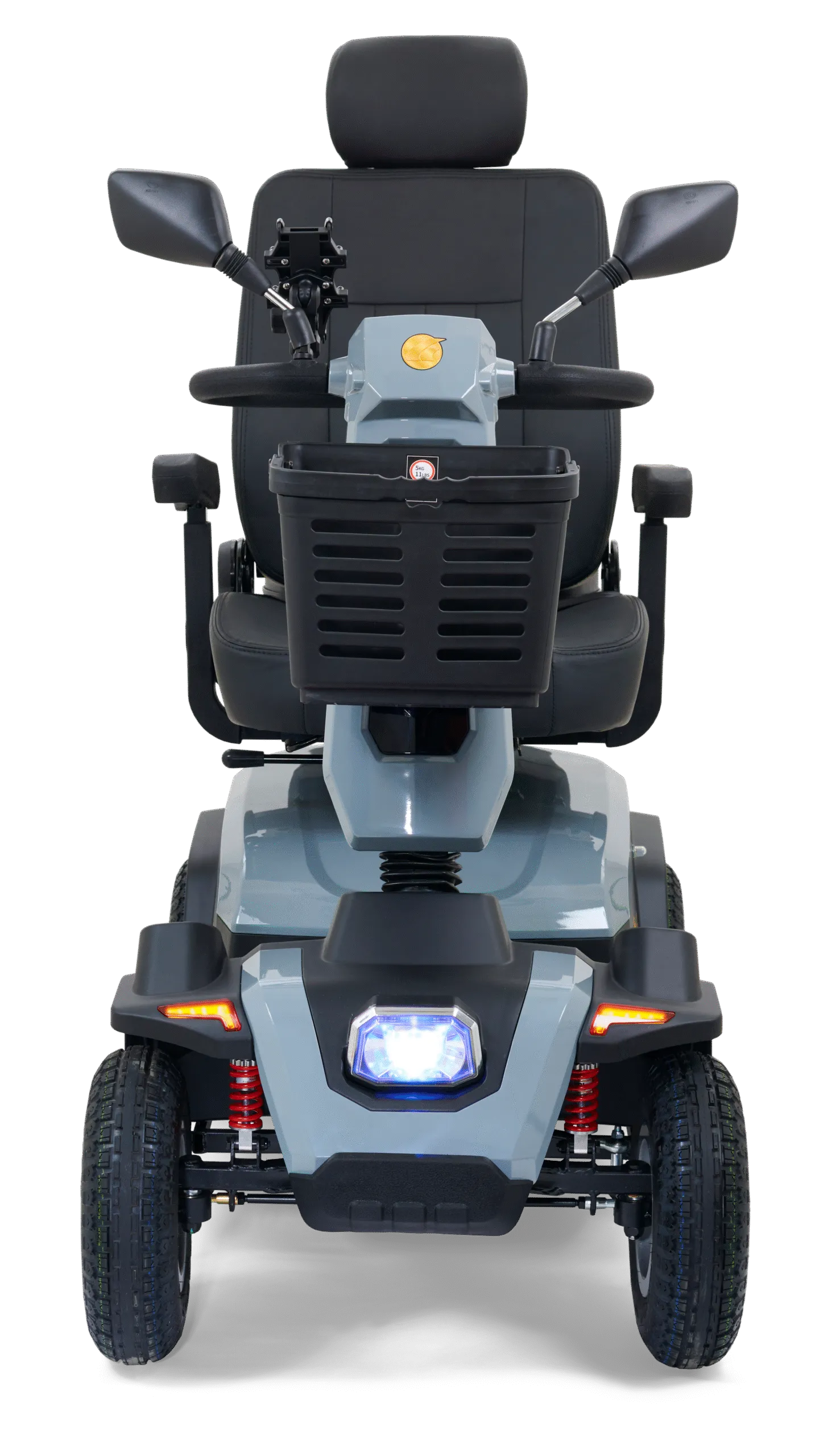 Golden Eagle - Image 12