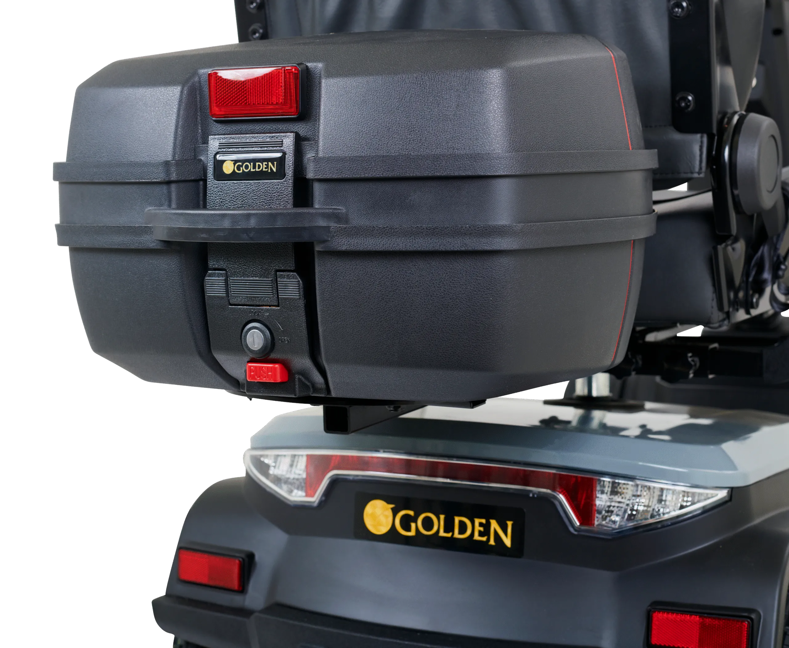 Golden Eagle - Image 5