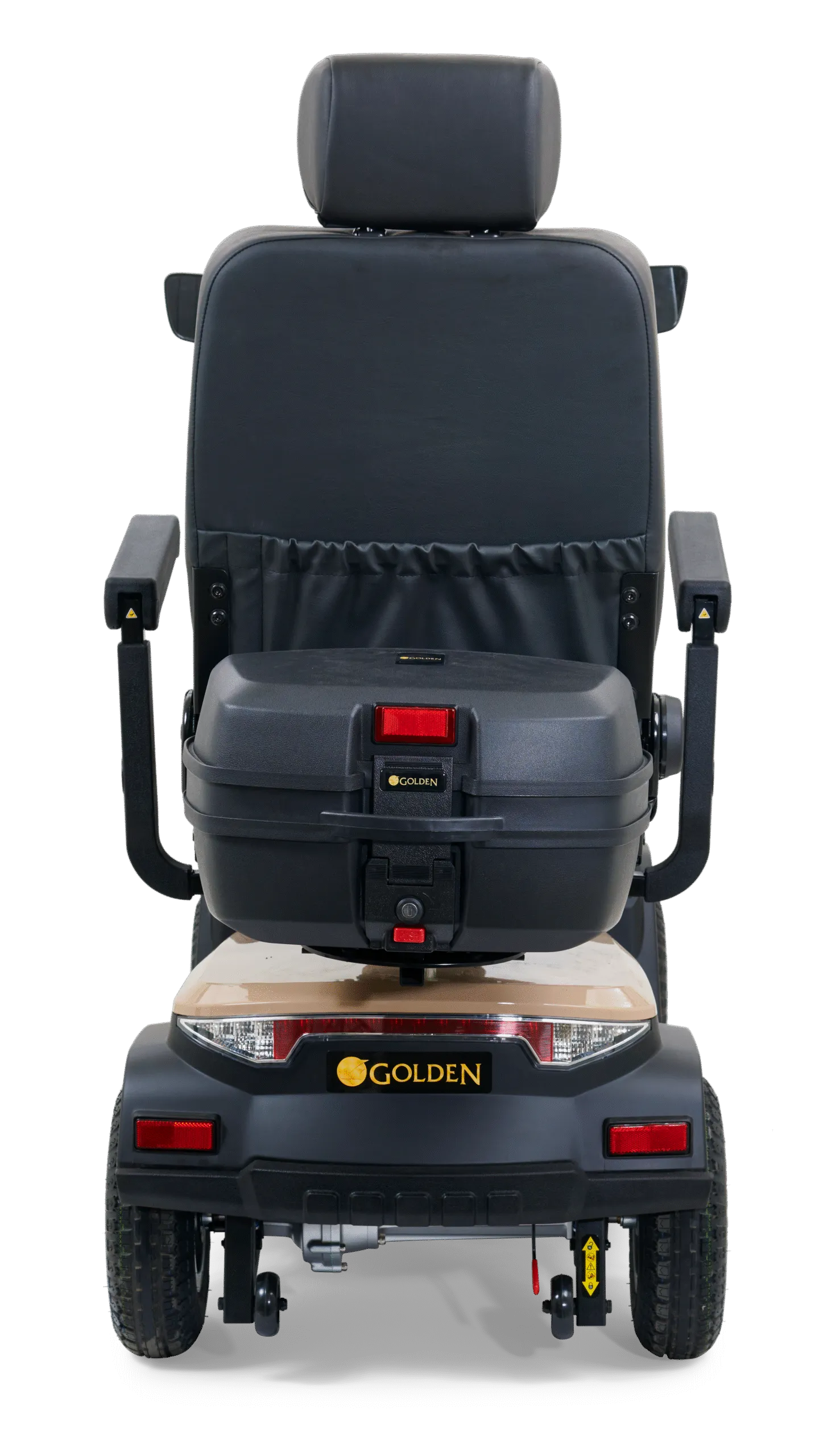 Golden Eagle - Image 10