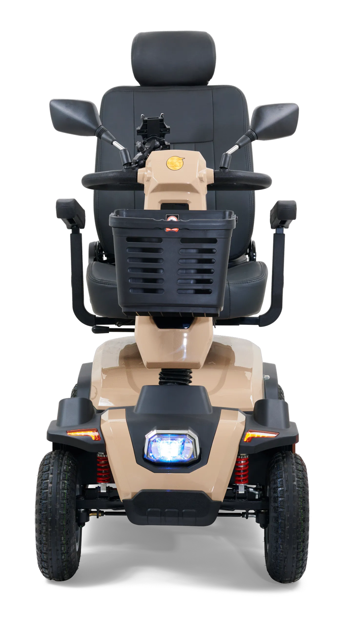 Golden Eagle - Image 28