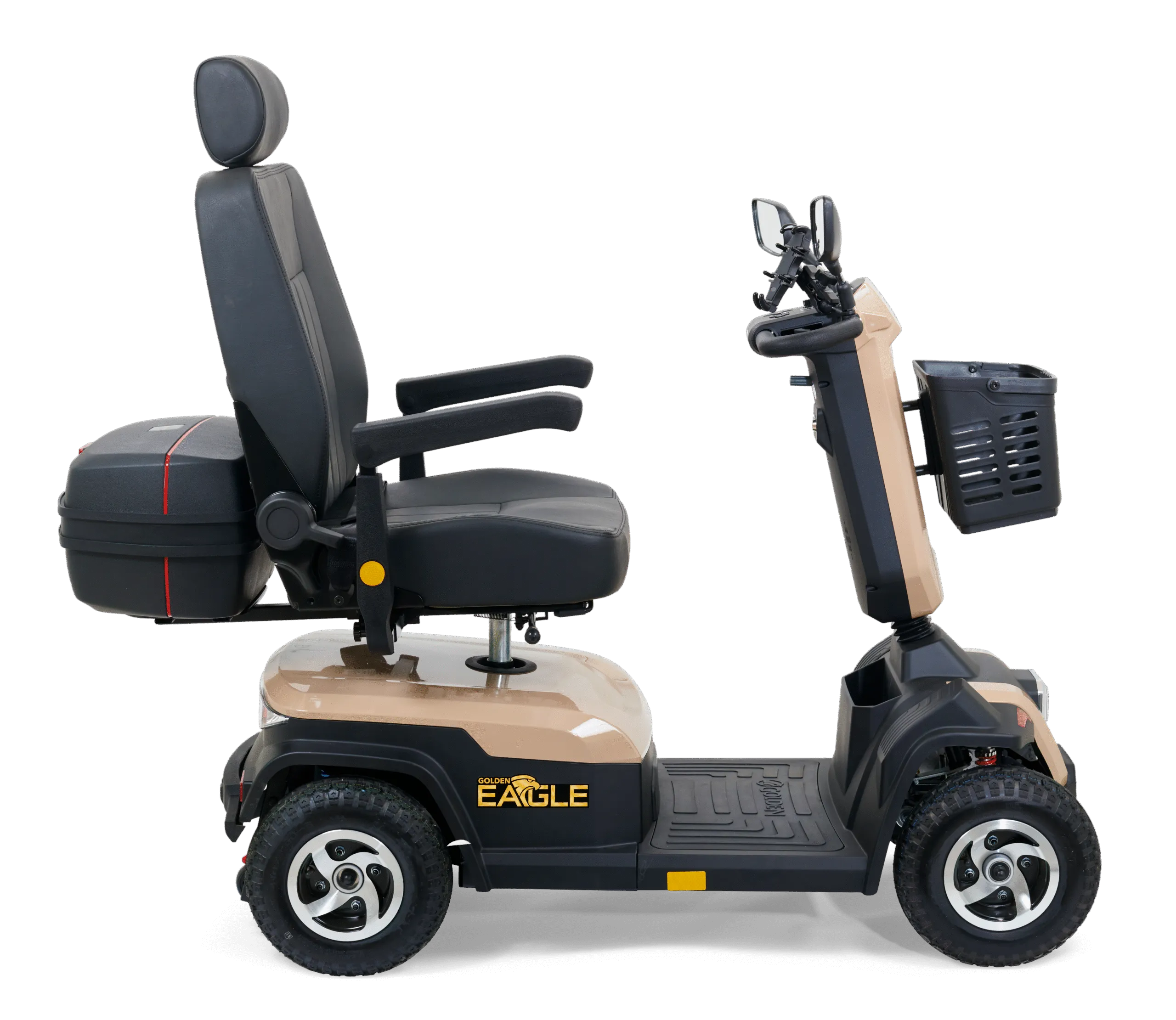 Golden Eagle - Image 26