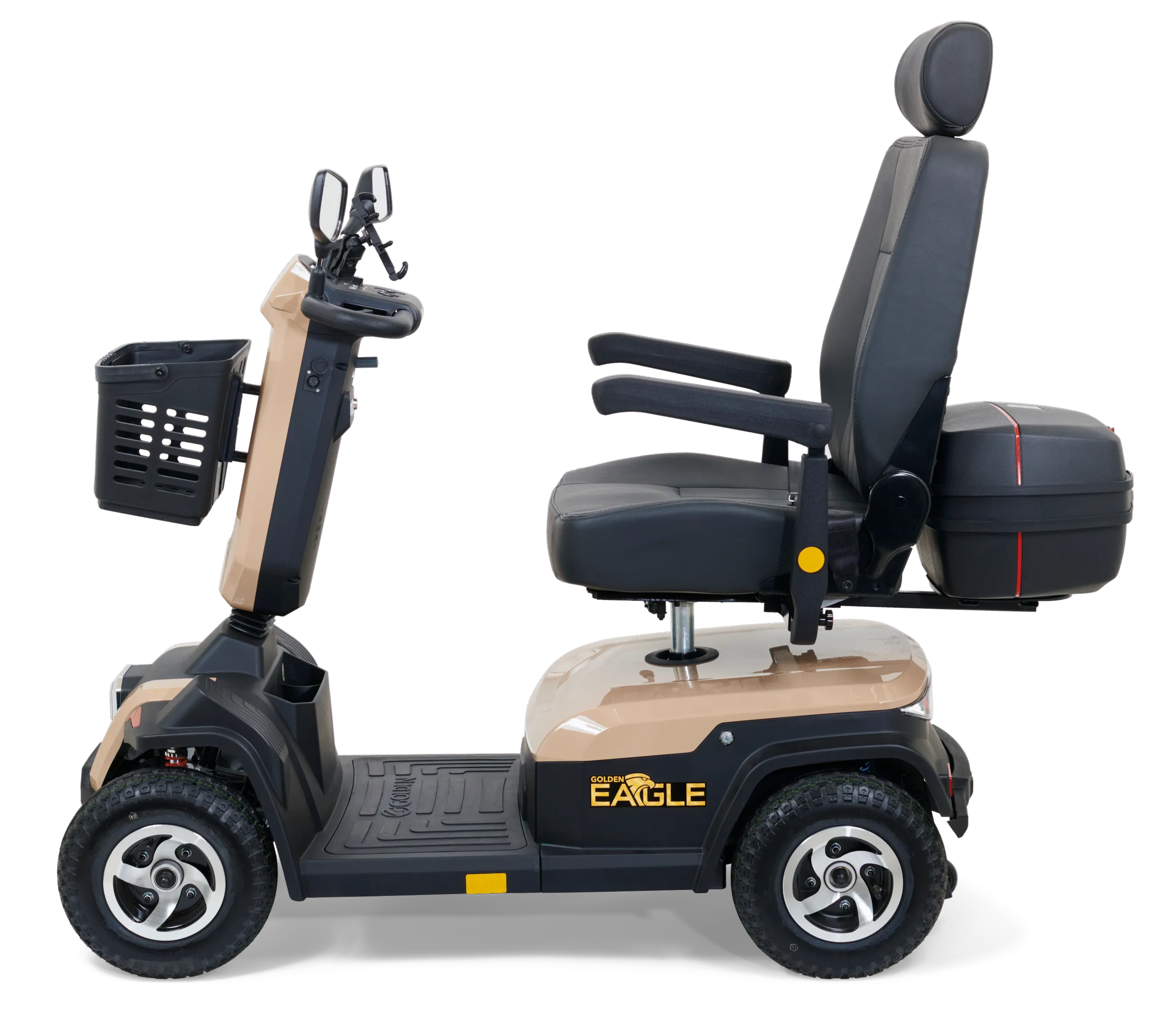 Golden Eagle - Image 24