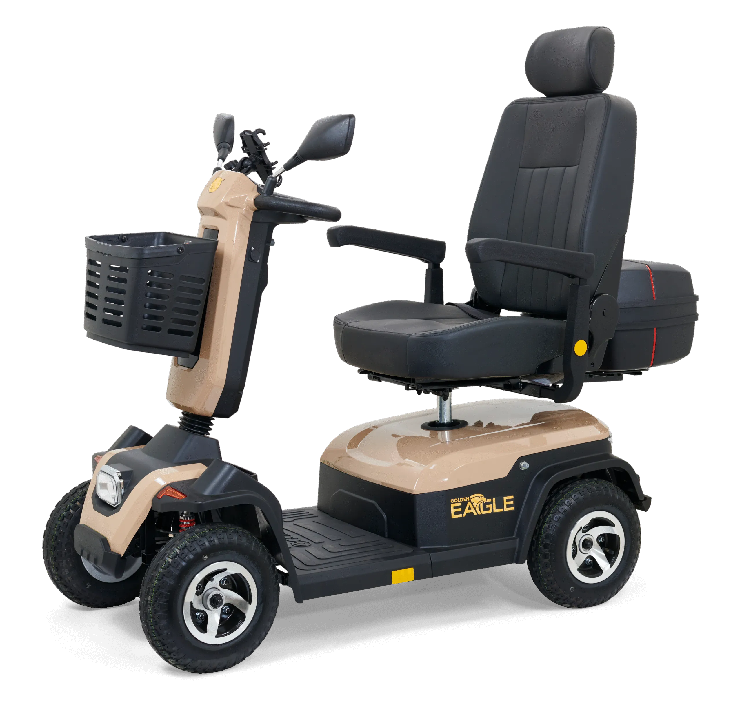 Golden Eagle - Image 23