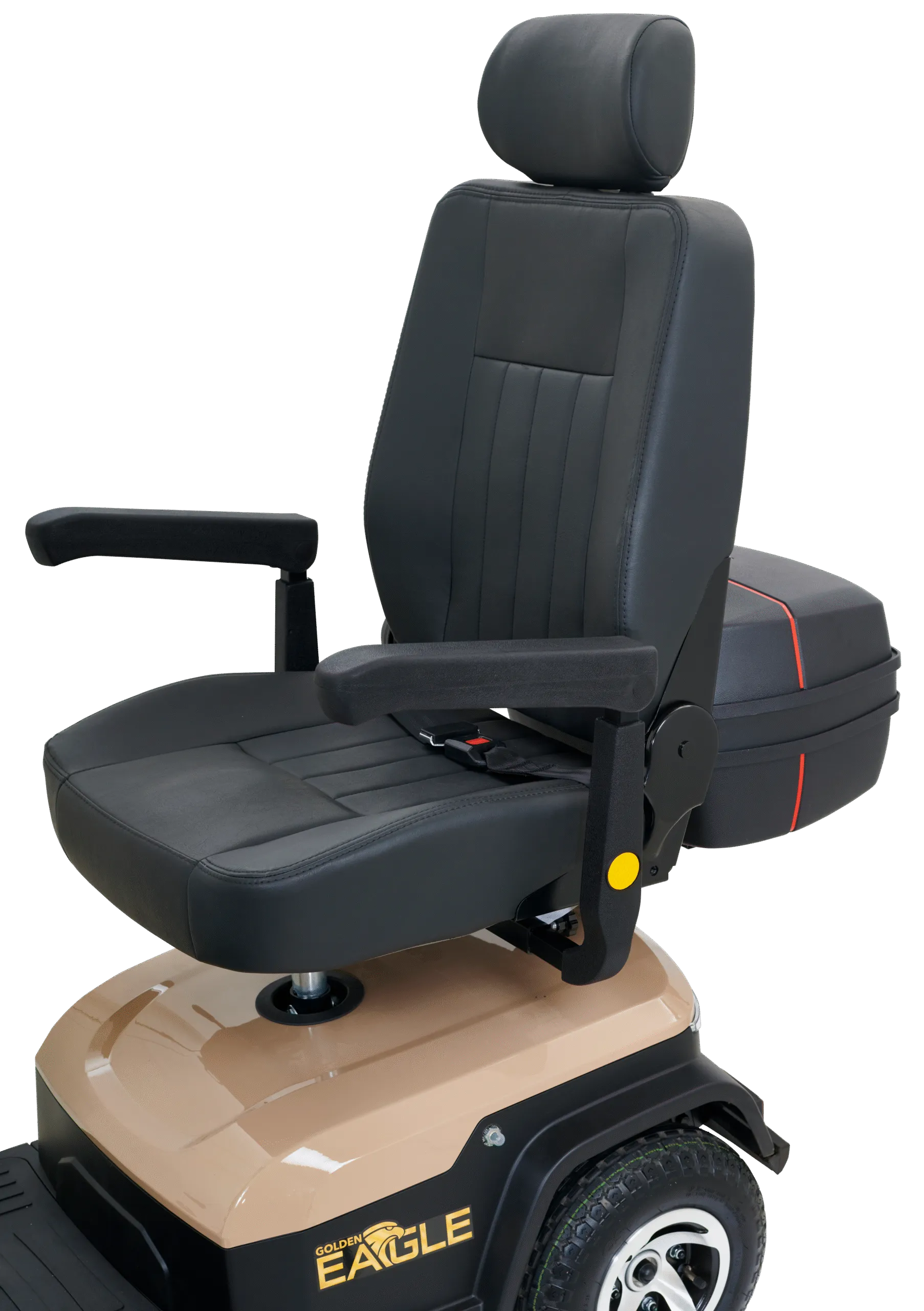 Golden Eagle - Image 22