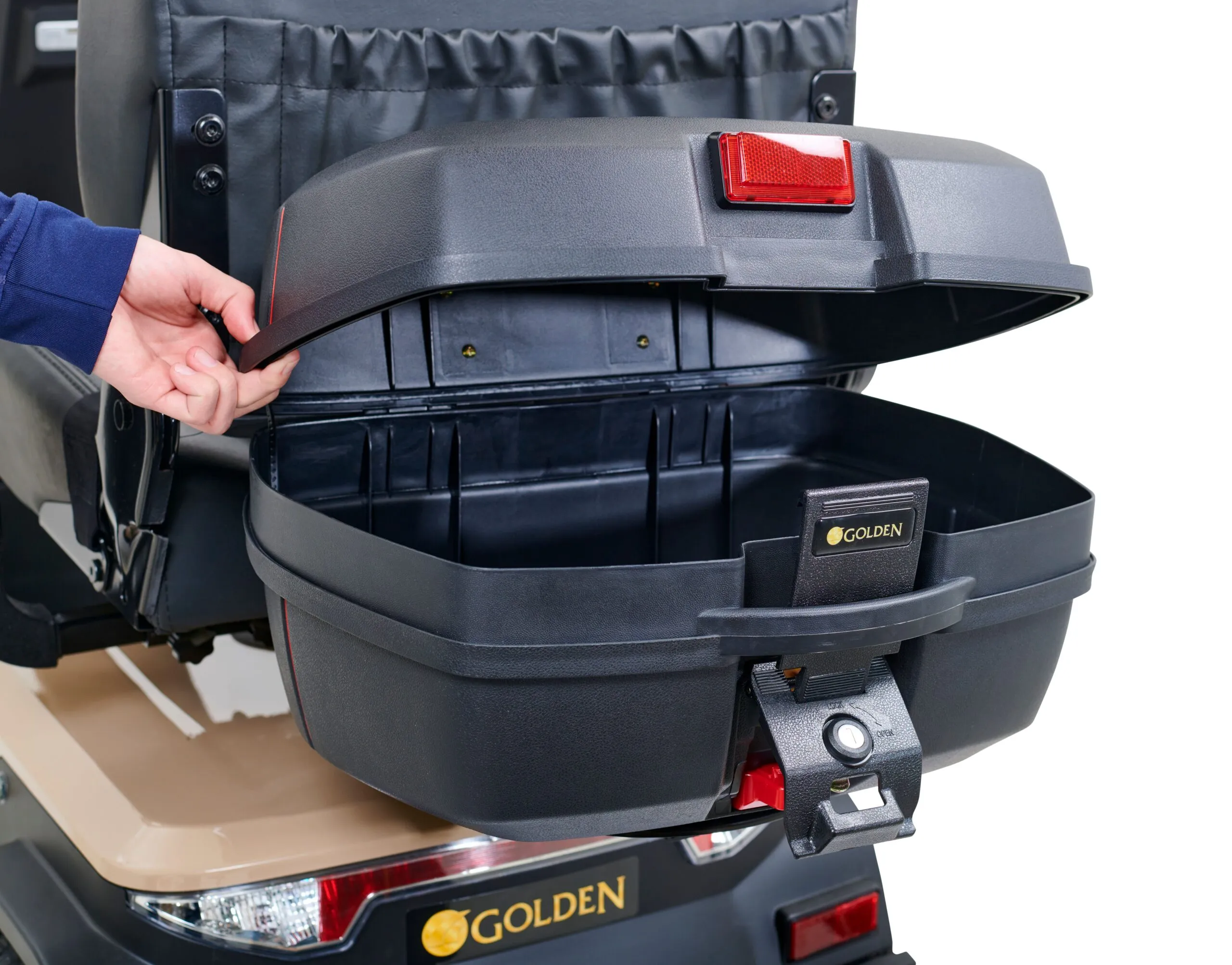 Golden Eagle - Image 21