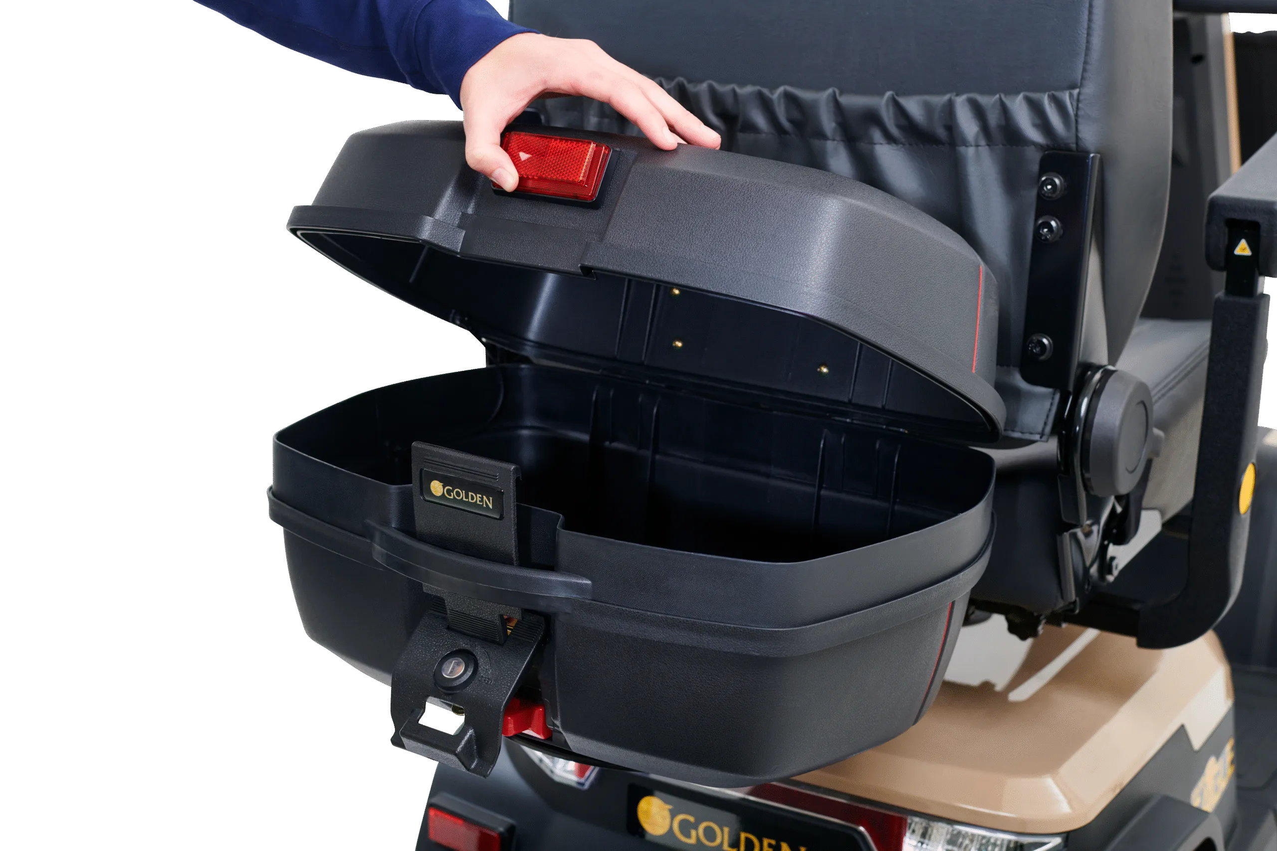 Golden Eagle - Image 20