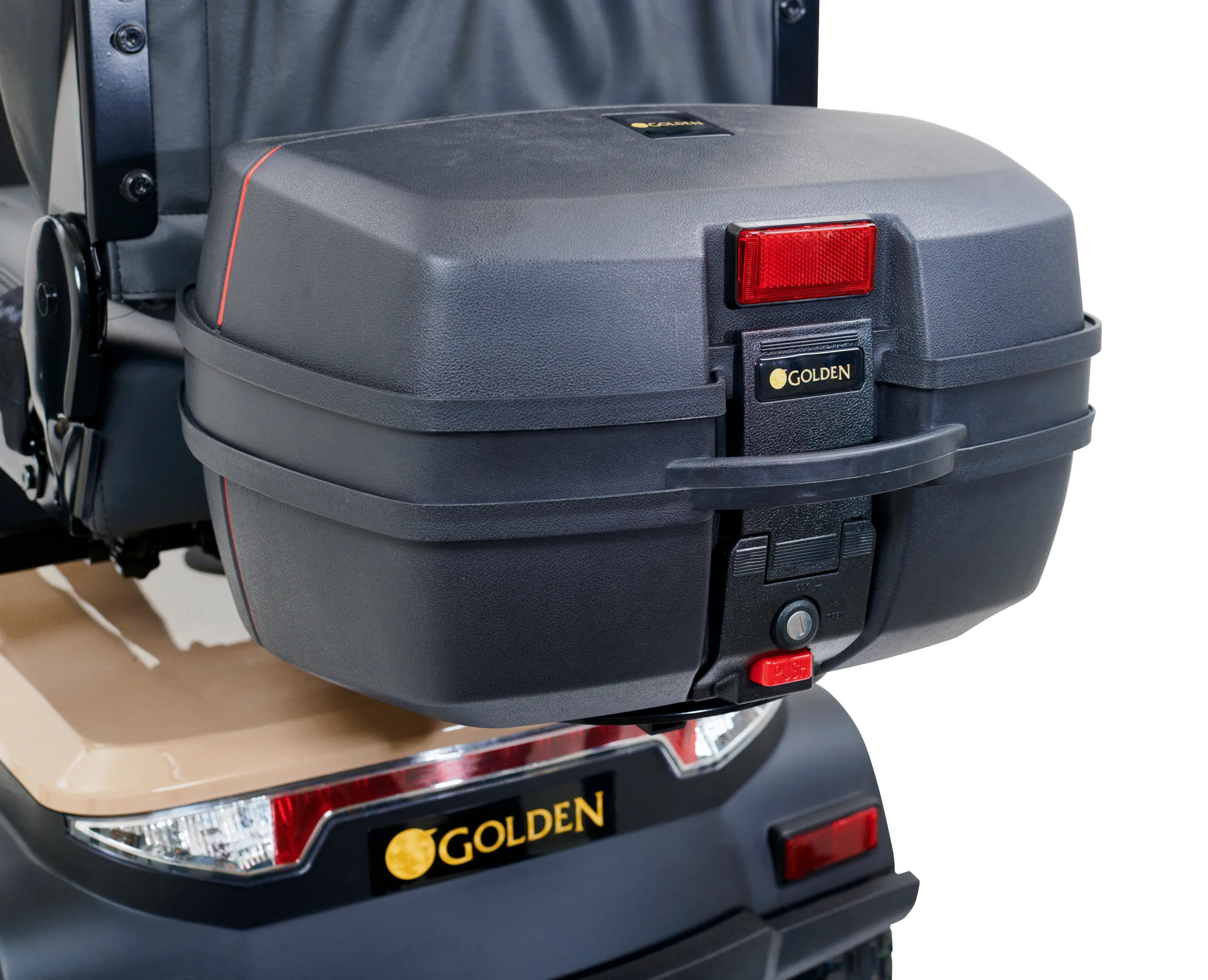 Golden Eagle - Image 19