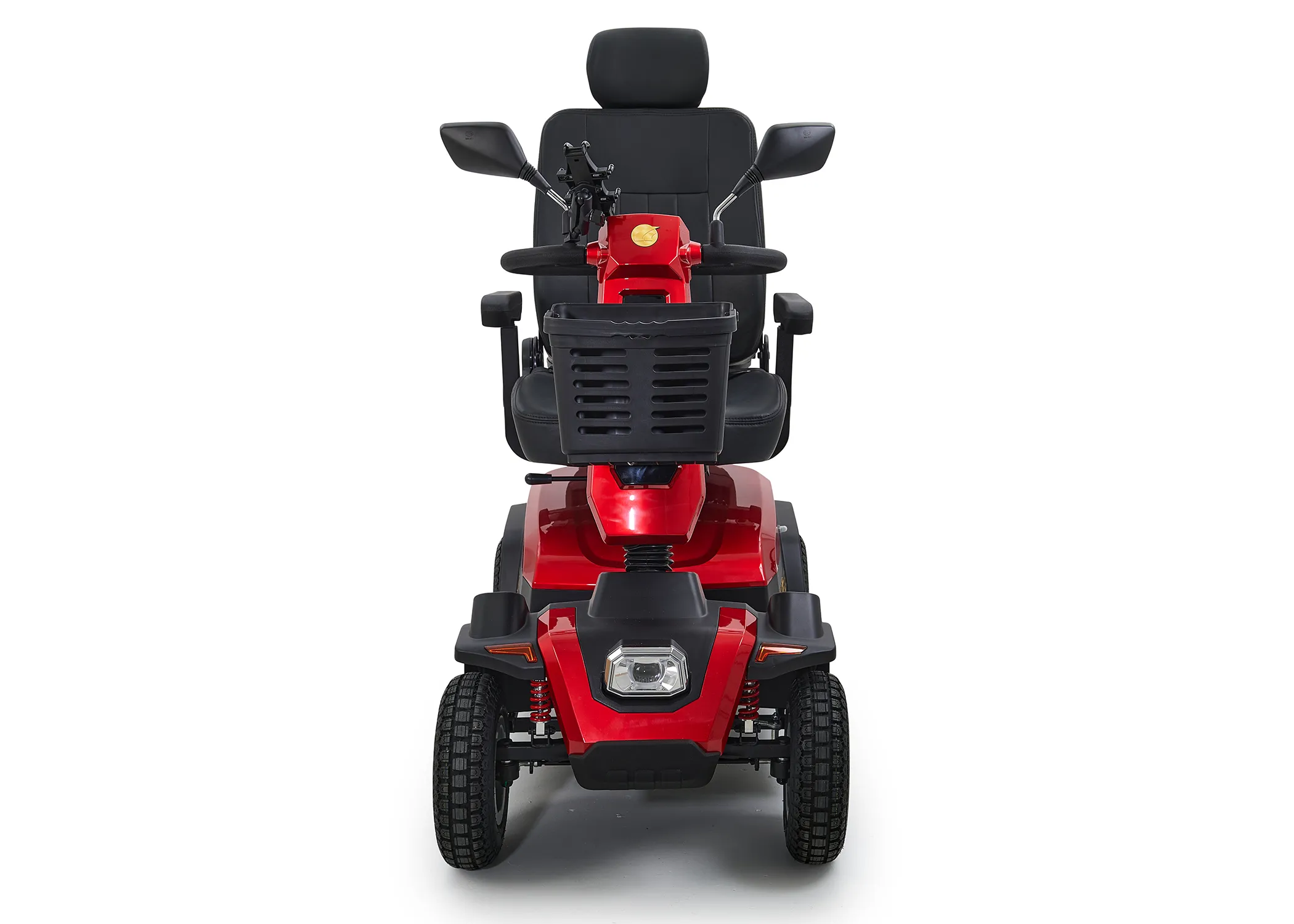 Golden Eagle - Image 17